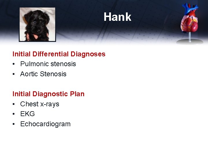 Hank Initial Differential Diagnoses • Pulmonic stenosis • Aortic Stenosis Initial Diagnostic Plan •