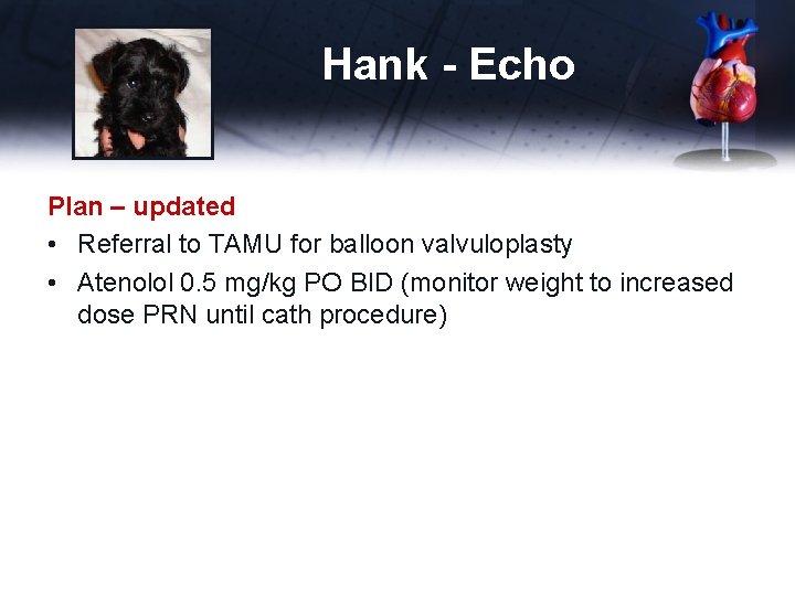 Hank - Echo Plan – updated • Referral to TAMU for balloon valvuloplasty •