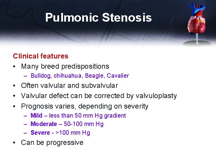 Pulmonic Stenosis Clinical features • Many breed predispositions – Bulldog, chihuahua, Beagle, Cavalier •