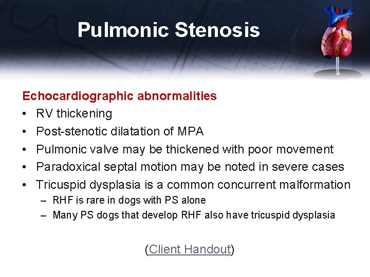 Pulmonic Stenosis Echocardiographic abnormalities • RV thickening • Post-stenotic dilatation of MPA • Pulmonic