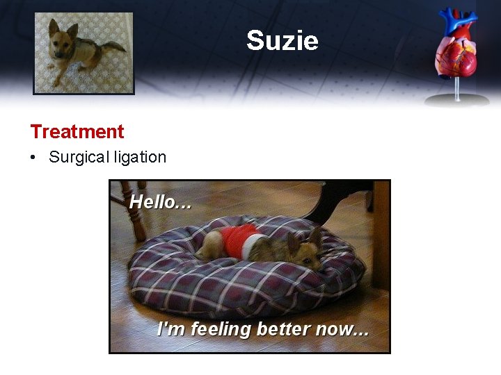 Suzie Treatment • Surgical ligation 