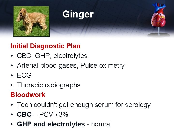 Ginger Initial Diagnostic Plan • CBC, GHP, electrolytes • Arterial blood gases, Pulse oximetry