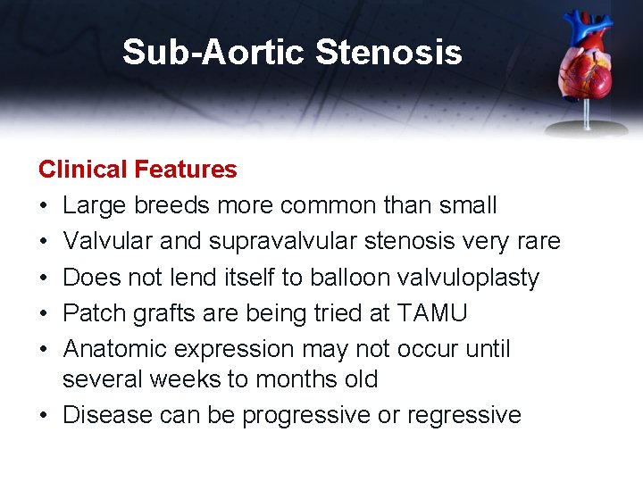 Sub-Aortic Stenosis Clinical Features • Large breeds more common than small • Valvular and