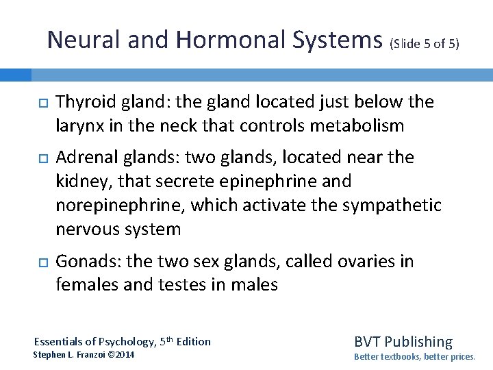 Neural and Hormonal Systems (Slide 5 of 5) Thyroid gland: the gland located just