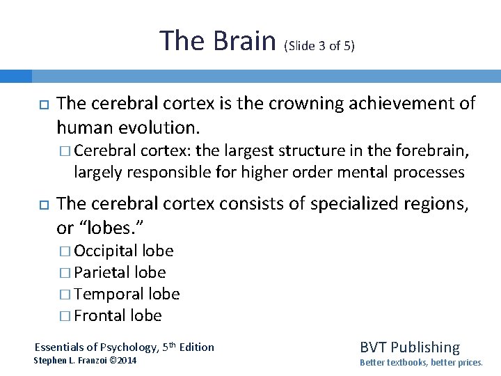 The Brain (Slide 3 of 5) The cerebral cortex is the crowning achievement of