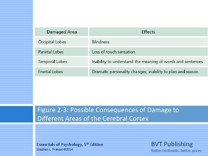 Figure 2 -3: Possible Consequences of Damage to Different Areas of the Cerebral Cortex