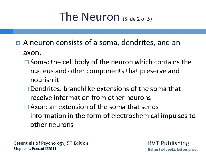 The Neuron (Slide 2 of 5) A neuron consists of a soma, dendrites, and