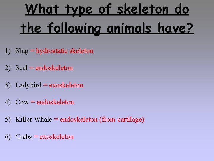 What type of skeleton do the following animals have? 1) Slug = hydrostatic skeleton