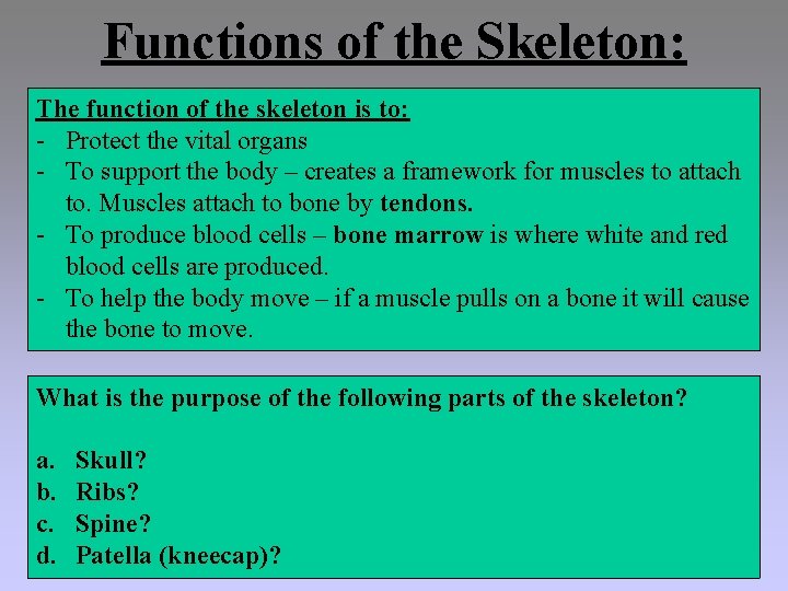 Functions of the Skeleton: The function of the skeleton is to: - Protect the