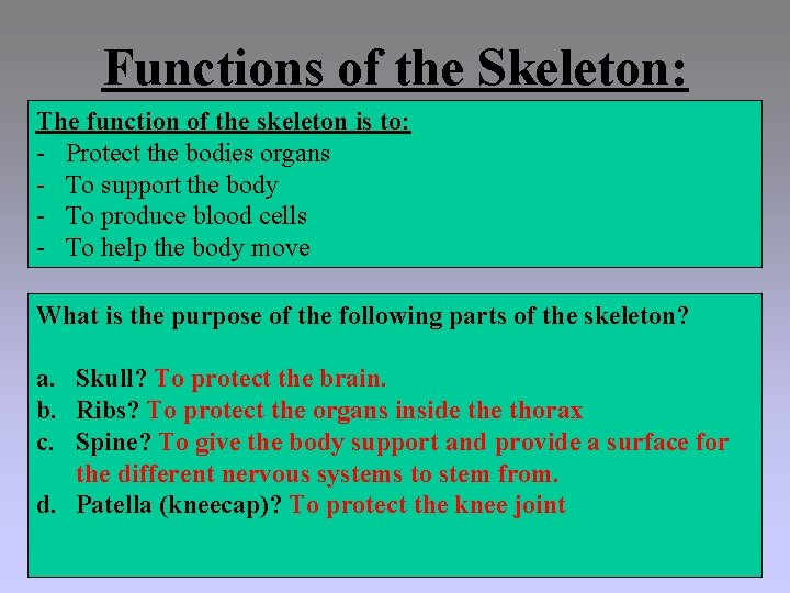 Functions of the Skeleton: The function of the skeleton is to: - Protect the