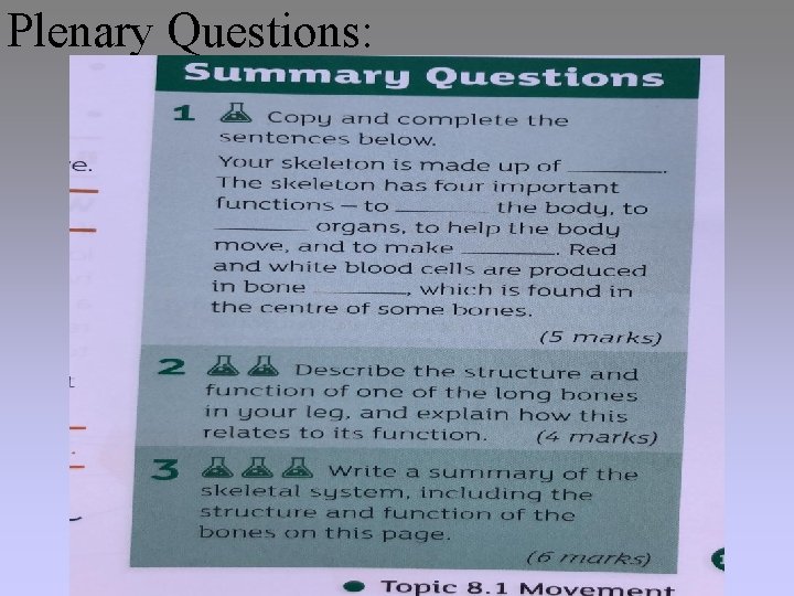Plenary Questions: 