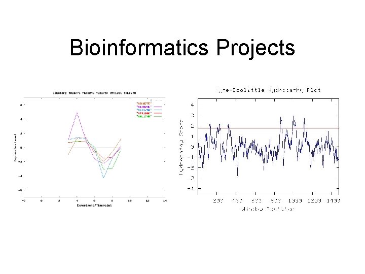 Bioinformatics Projects 