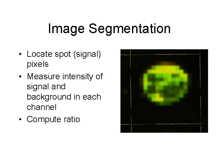 Image Segmentation • Locate spot (signal) pixels • Measure intensity of signal and background