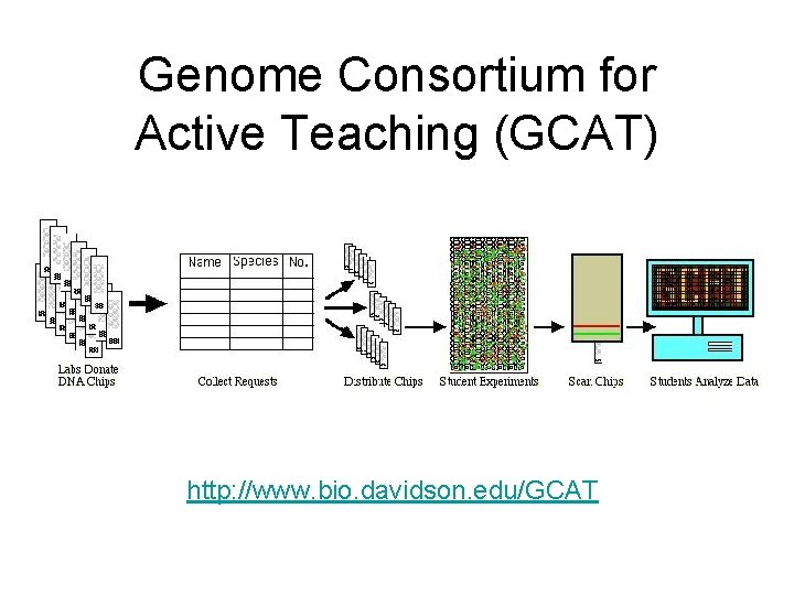 Genome Consortium for Active Teaching (GCAT) http: //www. bio. davidson. edu/GCAT 