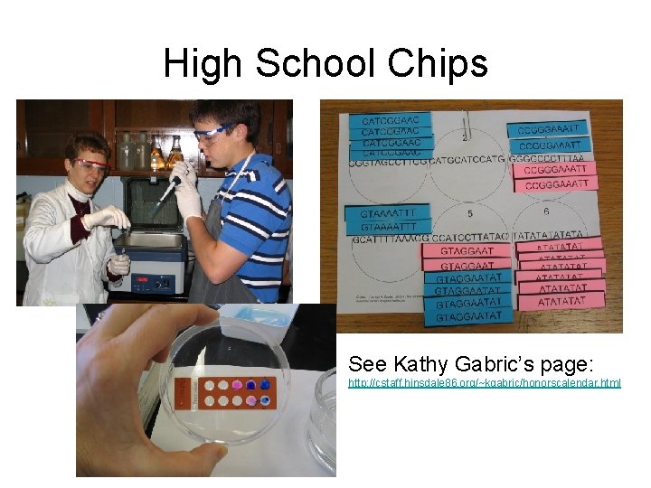 High School Chips See Kathy Gabric’s page: http: //cstaff. hinsdale 86. org/~kgabric/honorscalendar. html 
