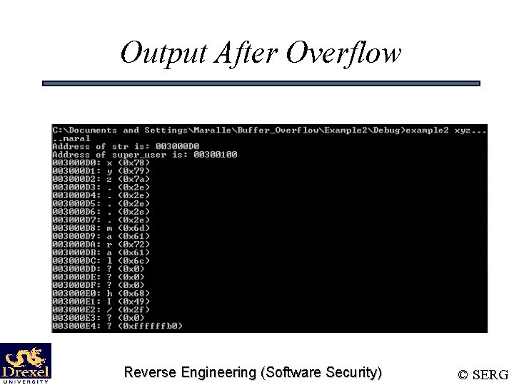 Output After Overflow Reverse Engineering (Software Security) © SERG 