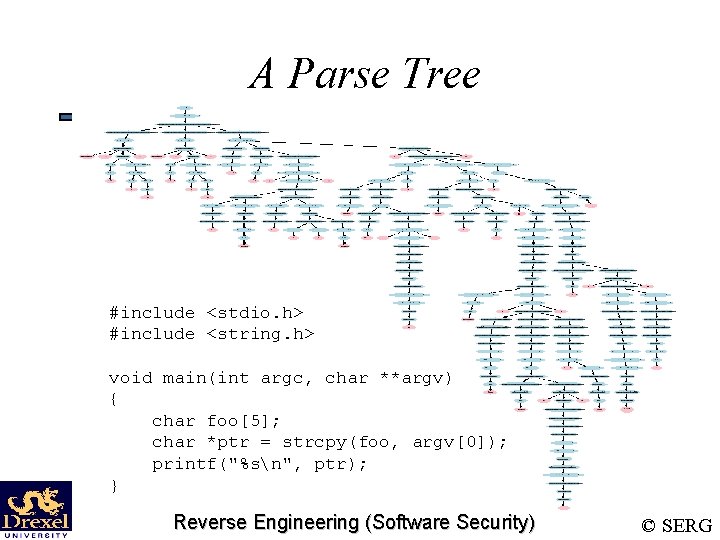 A Parse Tree #include <stdio. h> #include <string. h> void main(int argc, char **argv)
