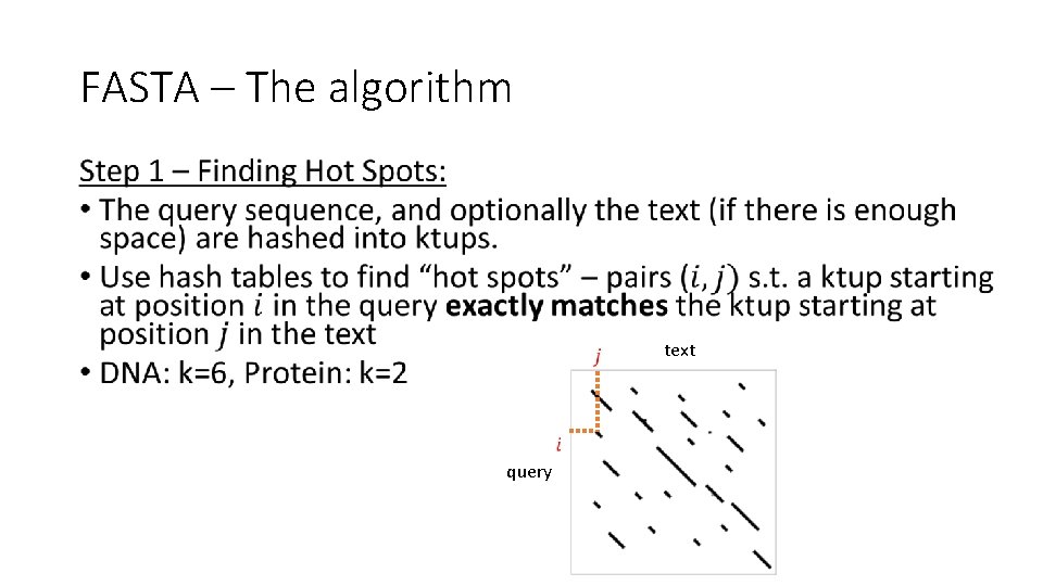 FASTA – The algorithm • text query 