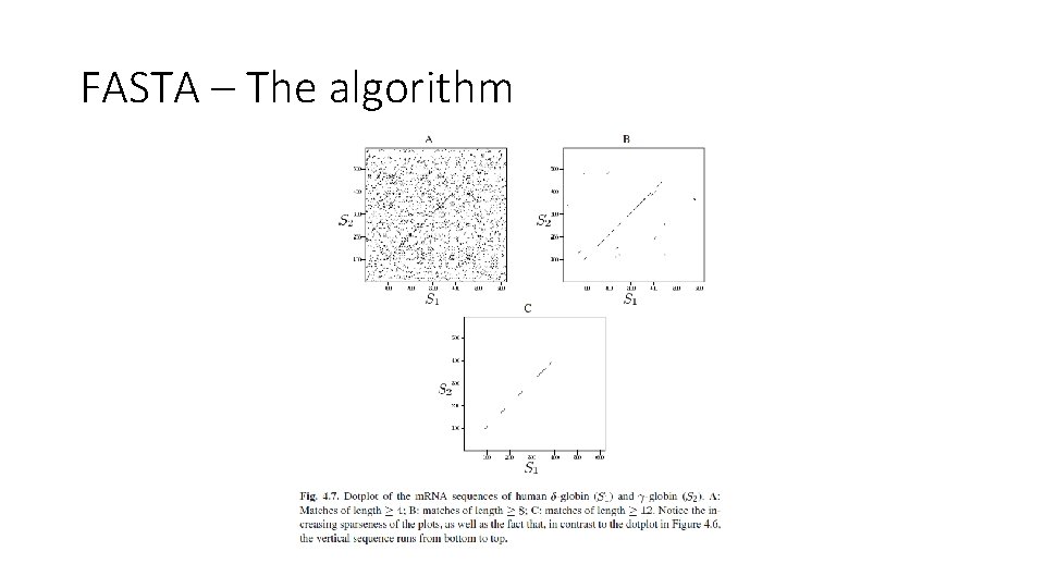 FASTA – The algorithm 