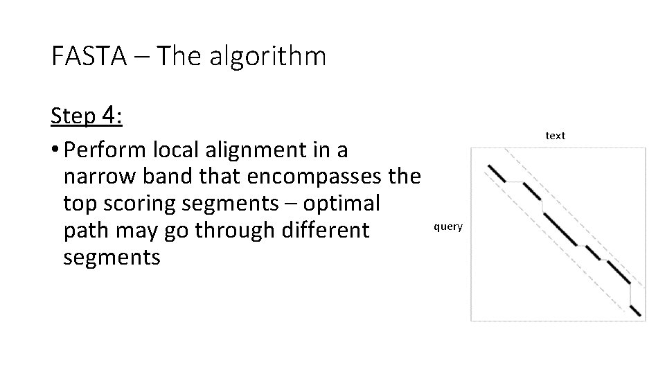 FASTA – The algorithm Step 4: • Perform local alignment in a narrow band
