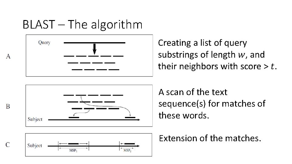 BLAST – The algorithm A scan of the text sequence(s) for matches of these