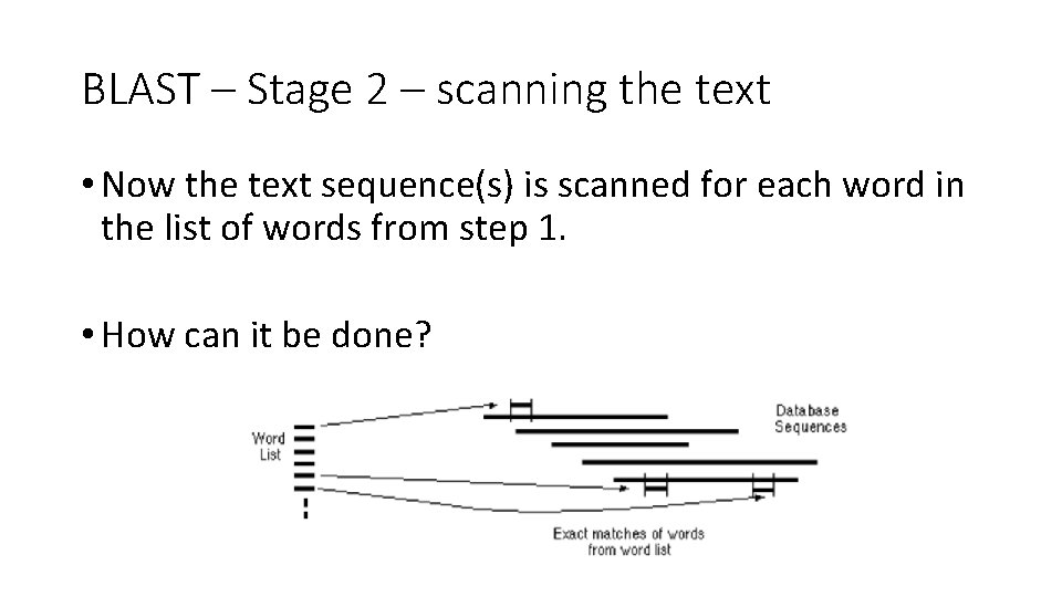 BLAST – Stage 2 – scanning the text • Now the text sequence(s) is