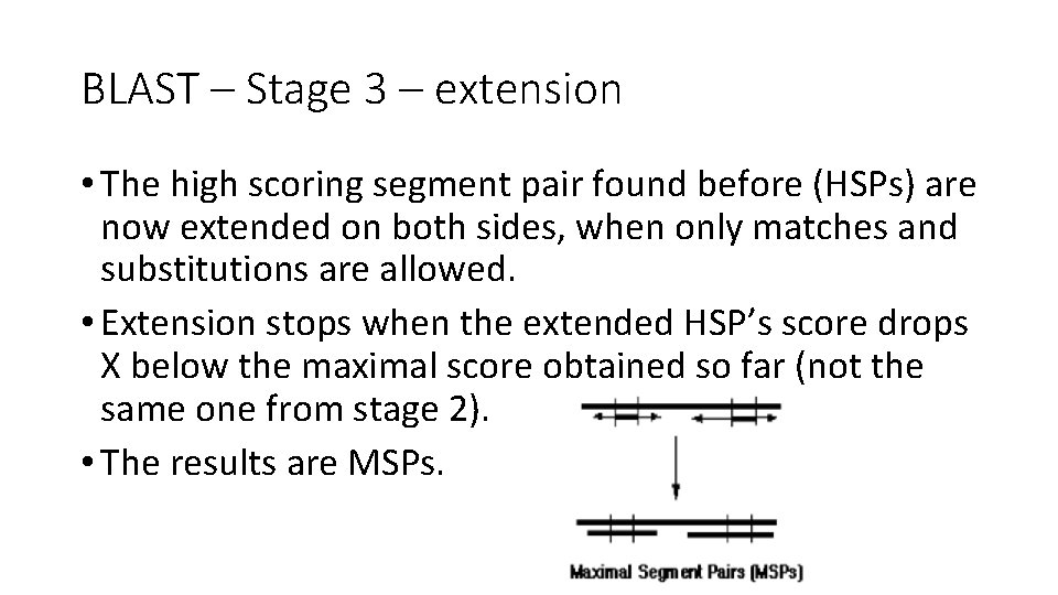 BLAST – Stage 3 – extension • The high scoring segment pair found before
