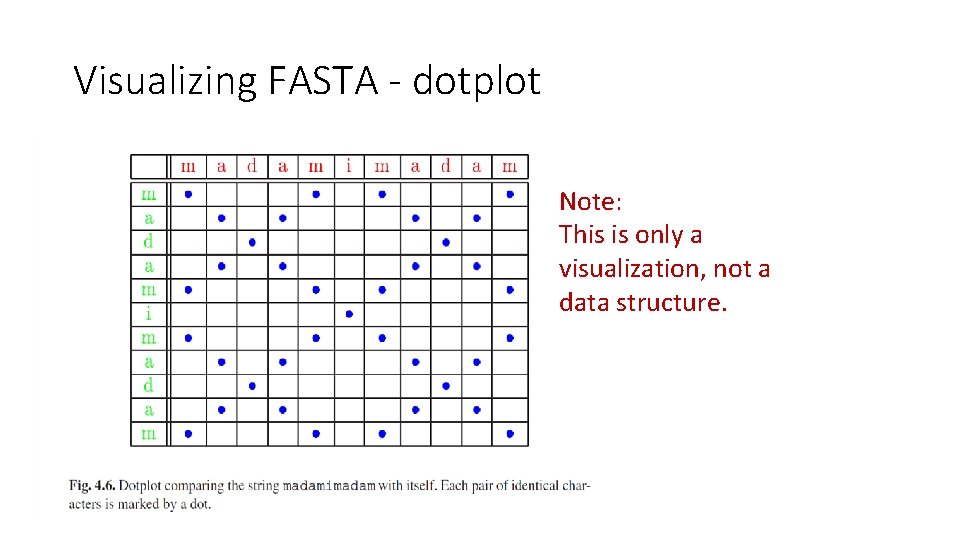 Visualizing FASTA - dotplot Note: This is only a visualization, not a data structure.