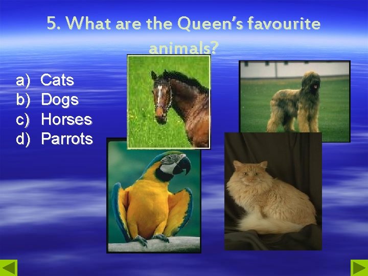 5. What are the Queen’s favourite animals? a) b) c) d) Cats Dogs Horses