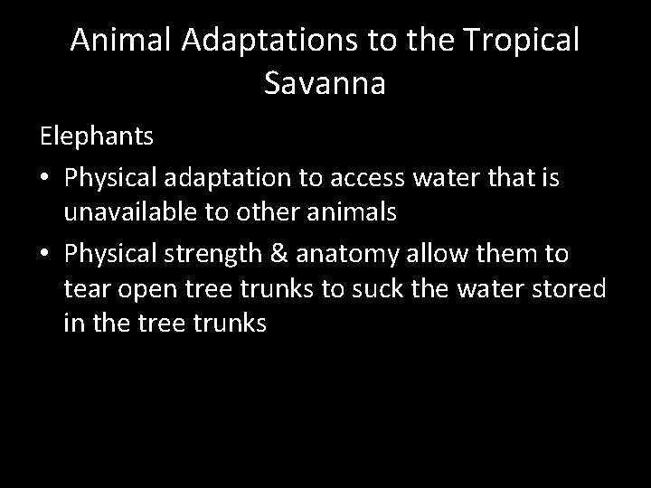 Animal Adaptations to the Tropical Savanna Elephants • Physical adaptation to access water that