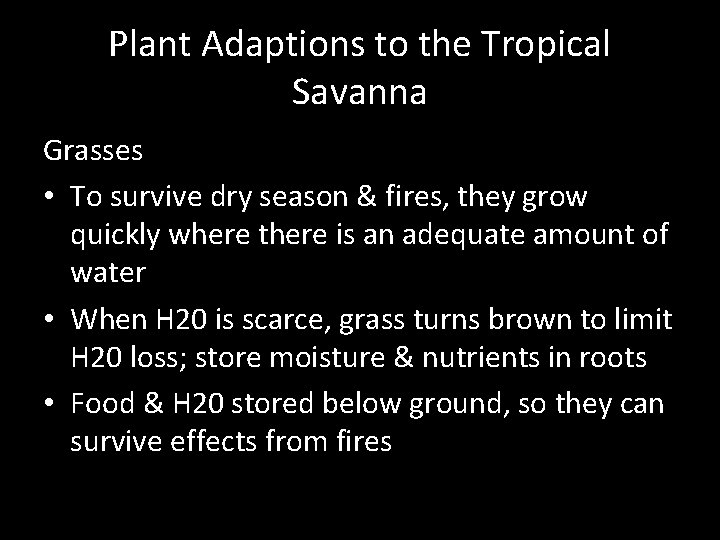 Plant Adaptions to the Tropical Savanna Grasses • To survive dry season & fires,