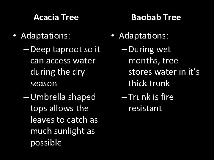 Acacia Tree Baobab Tree • Adaptations: – Deep taproot so it can access water