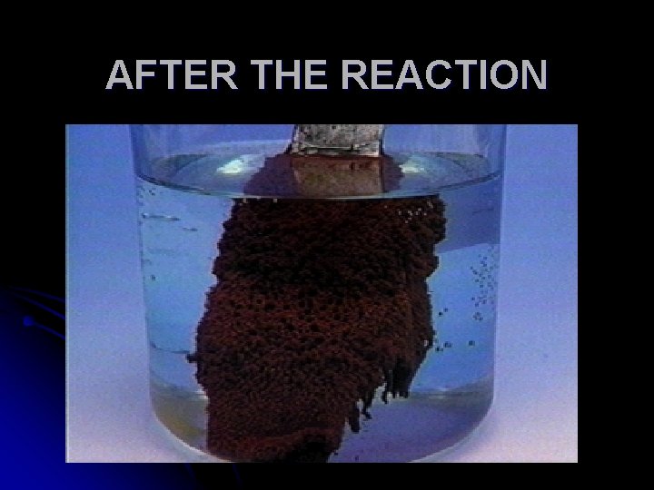 AFTER THE REACTION 