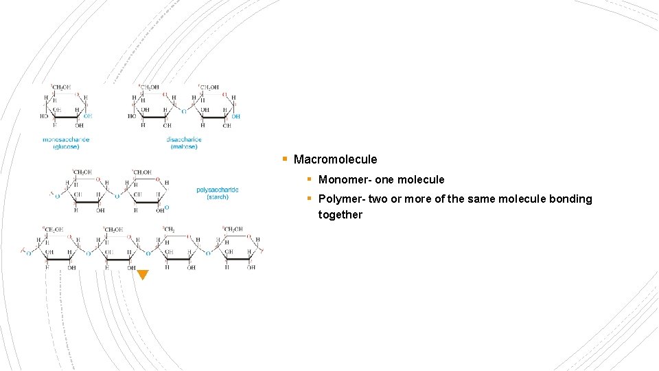§ Macromolecule § Monomer- one molecule § Polymer- two or more of the same