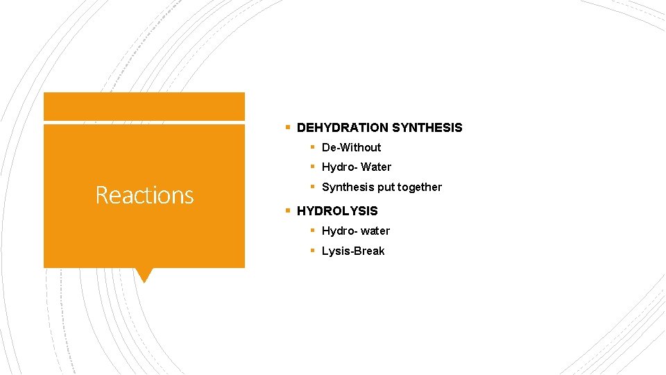 § DEHYDRATION SYNTHESIS § De-Without § Hydro- Water Reactions § Synthesis put together §