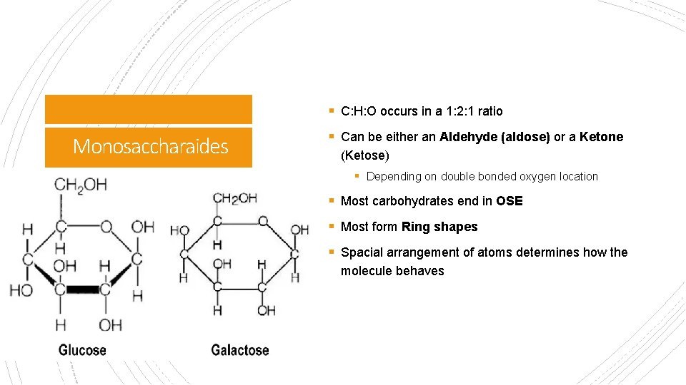§ C: H: O occurs in a 1: 2: 1 ratio Monosaccharaides § Can