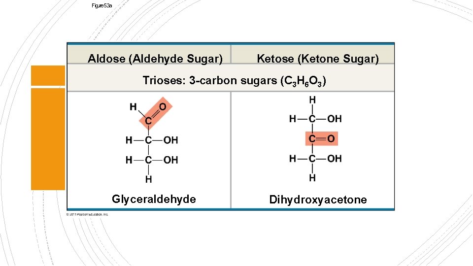 Figure 5. 3 a Aldose (Aldehyde Sugar) Ketose (Ketone Sugar) Trioses: 3 -carbon sugars