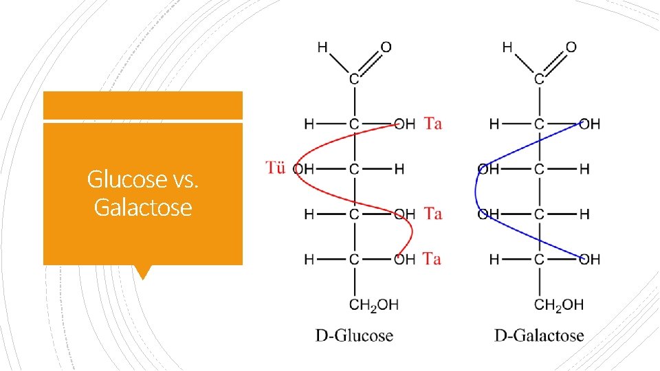 Glucose vs. Galactose 