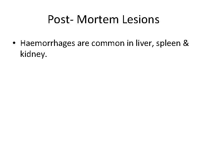 Post- Mortem Lesions • Haemorrhages are common in liver, spleen & kidney. 