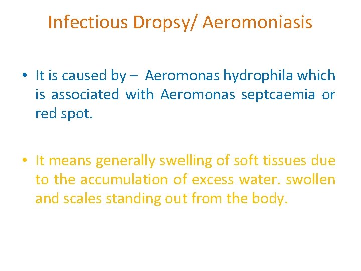 Infectious Dropsy/ Aeromoniasis • It is caused by – Aeromonas hydrophila which is associated
