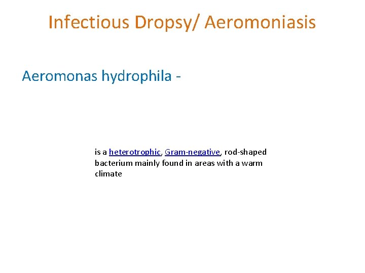 Infectious Dropsy/ Aeromoniasis Aeromonas hydrophila - is a heterotrophic, Gram-negative, rod-shaped bacterium mainly found