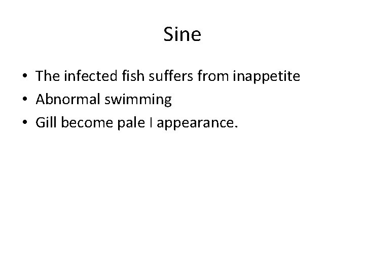 Sine • The infected fish suffers from inappetite • Abnormal swimming • Gill become