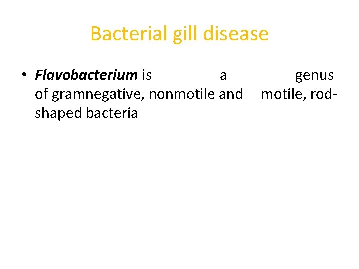Bacterial gill disease • Flavobacterium is a of gramnegative, nonmotile and shaped bacteria genus