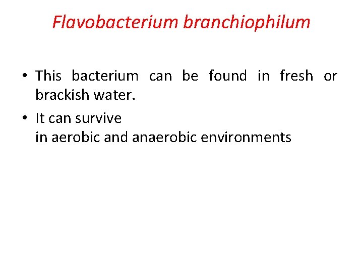 Flavobacterium branchiophilum • This bacterium can be found in fresh or brackish water. •