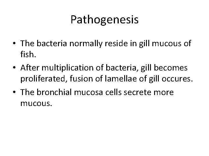 Pathogenesis • The bacteria normally reside in gill mucous of fish. • After multiplication
