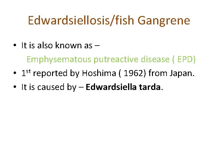 Edwardsiellosis/fish Gangrene • It is also known as – Emphysematous putreactive disease ( EPD)