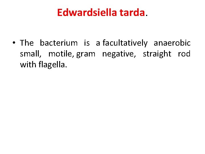 Edwardsiella tarda. • The bacterium is a facultatively anaerobic small, motile, gram negative, straight