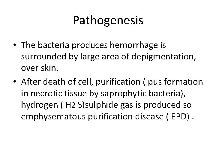 Pathogenesis • The bacteria produces hemorrhage is surrounded by large area of depigmentation, over