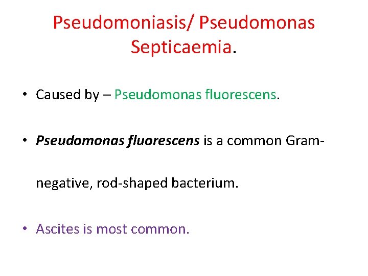 Pseudomoniasis/ Pseudomonas Septicaemia. • Caused by – Pseudomonas fluorescens. • Pseudomonas fluorescens is a