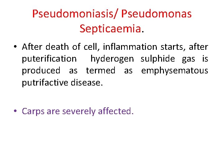 Pseudomoniasis/ Pseudomonas Septicaemia. • After death of cell, inflammation starts, after puterification hyderogen sulphide